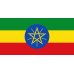 画像1: イルガチェフェ　G1　コンガ農協　（エチオピア）　200g (1)