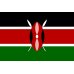画像1: カグモイニ　AA　（ケニア）　100g (1)