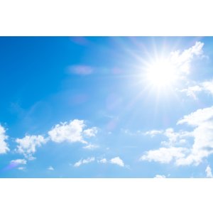 画像1: 夏ブレンド　200g