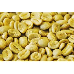 画像2: ロマ・ラ・グロリア　パカマラ　ナチュラル　生豆（エルサルバドル）　1Kg