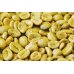 画像2: ロマ・ラ・グロリア　パカマラ　ナチュラル　生豆（エルサルバドル）　1Kg (2)
