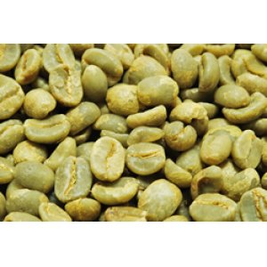 画像2: エルマノス・バルソ　生豆（コスタリカ）　1Kg