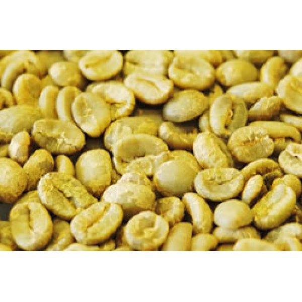 画像2: ロマ・ラ・グロリア　パカマラ　ナチュラル　生豆（エルサルバドル）　1Kg (2)